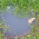 수완현진에버빌 1 이미지