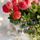 좋은하루 Daum카페