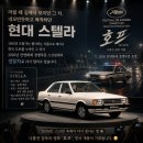 어릴 때 길에서 봤던 그 차 | 현대 스텔라가 칸영화제 경쟁부문 영화 '호프'에 등장한 이유