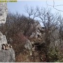 백아산관광목장 이미지