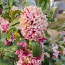 풍수부동산중개사무소 이미지