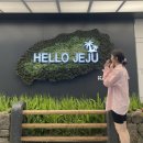 제주도여행🎂-숙성도/금오름/제주신화월드(메리어트관)/답다니수국밭/연돈/소색채본/우진해장국