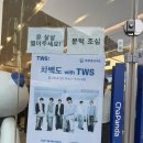 투어스 차백도 콜라보 특전 후기: T세트 음료 엽서💙