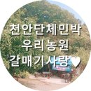 우리농원민박