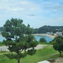 용화호텔 | 삼척여행 / 장호항 /삼척 숙소 추천 용화호텔 특실 후기