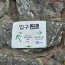 영원농장 | 🦋용인곤충테마파크 솔직후기 🐝16개월 둥이가 진짜 좋아한 곳❤️