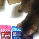 설이네 펫푸드 | [체험단] 하림펫푸드 밥이보약 캣 건강무스 3종 후기