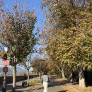 호텔 비알엔오(BRNO)브르노 | [노랑풍선 동유럽] 4개국(독/체/오/헝) 7박 9일 패키지 5일차 솔직후기 - 부다페스트, 브르노