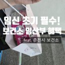 춘천시보건소 | 임신 초기 필수! 보건소 임산부 등록 혜택 feat. 춘천시 보건소 오프라인 방문 후기