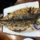 생선선생 이미지