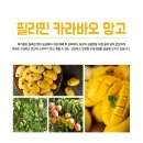 메가팜 | 카라바오망고는 푸드얍에서🍋