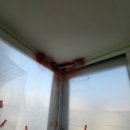 세광엔리치빌(3차) 이미지