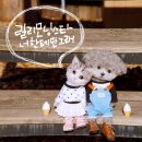 릴리왈츠