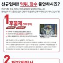 엔스냅
