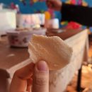 강아띠 | 🇲🇳 몽골 5일차 (끝없는 강아띠와 벌레의 축복)