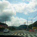 겨우리애견 이미지