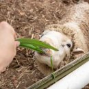 항도야영장 | [경상남도 남해군] 바람흔적미술관