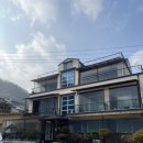 아모르 루시 이미지