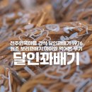 꽈배기마을 | 전주한옥마을 간식 달인꽈배기 1976 원조 보리꽈배기 아이와 먹어본 후기