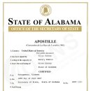 에이스외국어번역행정사사무소 이미지