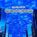 버스정류장 07-127 | 인스파이어 미디어아트 고래 오로라 위치 시간 포토존 (인천공항 셔틀버스)