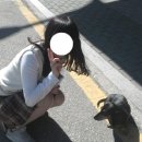 철원여자고등학교 이미지