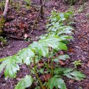 상태농장 이미지