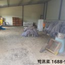 도흥길 2 네이버블로그