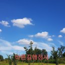 바른길 행정사사무소 이미지