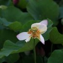 사진마을 이미지