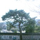 [서울] 늦가을 풍경이 아름다운 도심 속의 전원마을 ~ 성북동 나들이 (최순우옛집, 삼청각...) 이미지