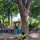 모래벌농장 이미지