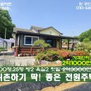 SI 공인중개사사무소 이미지