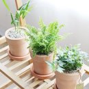 힐링굿샵 이미지