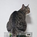 에버리움 이미지