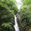 단양죽령사과 이미지