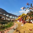 부원공원 이미지