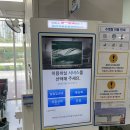 탁구초급 | 청라 복합문화센터 평일 자유수영 후기