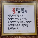 홍익짬뽕 수유점 | 수유역 짬뽕 맛집 홍익짬뽕 이것이 짬뽕이다