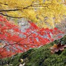 행복식품나라 이미지