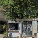 카페바트 | 태국 치앙마이 올드타운 감성 카페 ‘바트커피’ 솔직후기 (더티커피, 타이카라멜라떼)