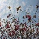 관악구민체육센터 이미지