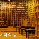 지혜의숲 이미지