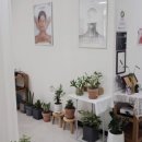 석전동249 이미지