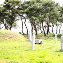 이여발묘 이미지