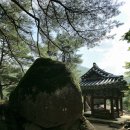 영월 무릉리 요선암 돌개구멍 | 영월 요선정 마애여래좌상 무릉리 요선암 돌개구멍