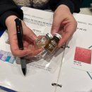 디지탈필 | 관리] 발리 한달살기 후 뒤집어진 피부, 상암 아라에스테틱 트로이필로 서울여드름압출 졸업한 솔직 후기