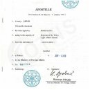 에이스외국어번역행정사사무소 이미지