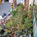 윤슬약국 이미지