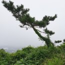 서귀포 자연휴양림 숙소 이용 후기 검은 오름과 물영아리 오름 탐방